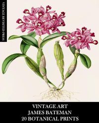 Cover image for Vintage Art: James Bateman: 20 Botanical Prints: Orchid Ephemera for Framing, Home Decor, Collage and Decoupage