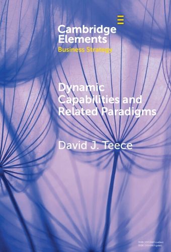 Cover image for Dynamic Capabilities and Related Paradigms