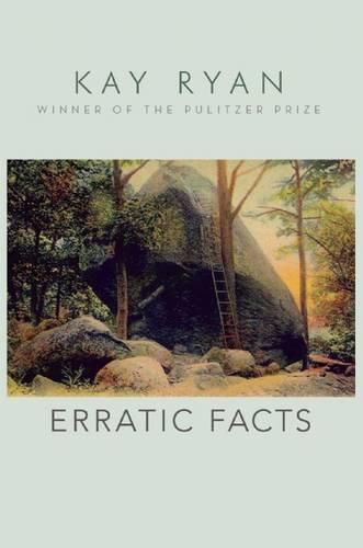 Cover image for Erratic Facts