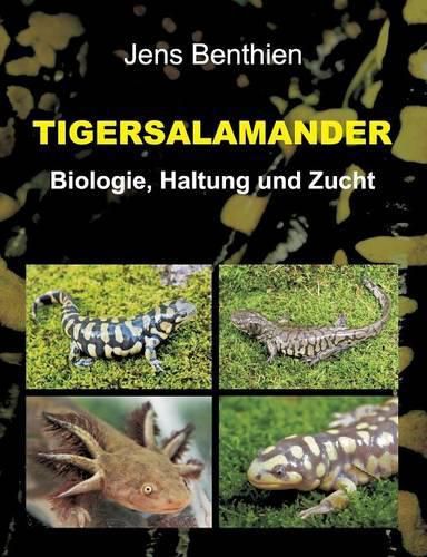 Cover image for Tigersalamander