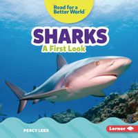 Cover image for Sharks: A First Look