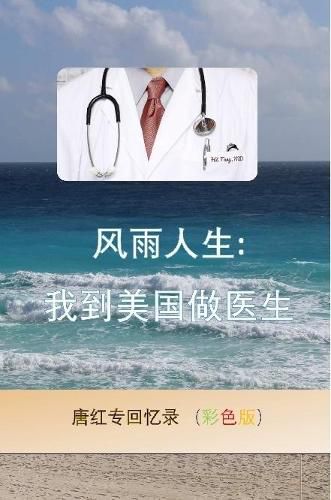 Cover image for A Stormy Life