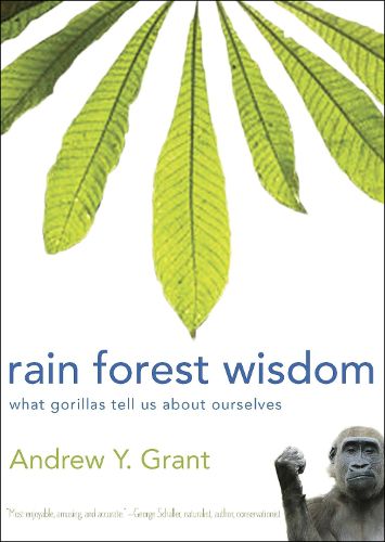 Cover image for Rain Forest Wisdom: What Gorillas Tell Us about Ourselves