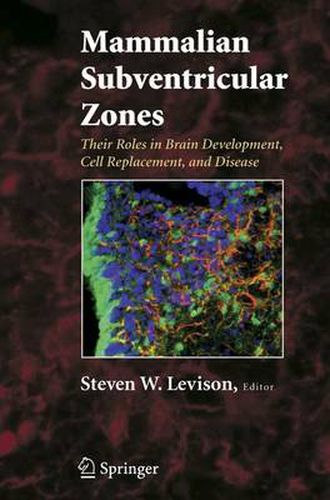 Cover image for Mammalian Subventricular Zones: Their Roles in Brain Development, Cell Replacement, and Disease