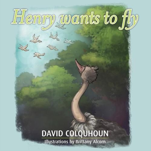 Cover image for Henry wants to fly