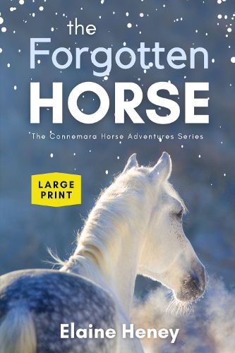 The Forgotten Horse - Book 1 in the Connemara Horse Adventure Series LARGE PRINT