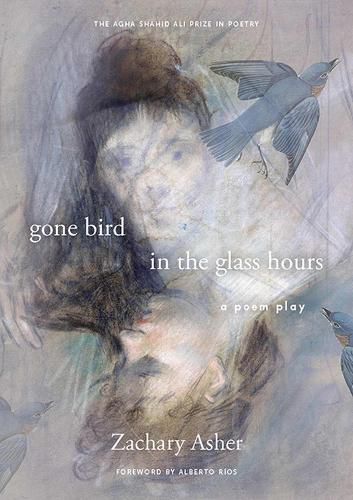 Cover image for gone bird in the glass hours: a poem play