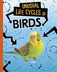 Cover image for Unusual Life Cycles of Birds