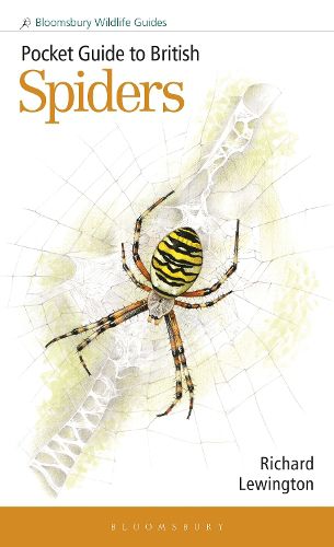 Cover image for Pocket Guide to British Spiders
