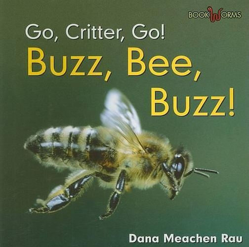 Buzz, Bee, Buzz!