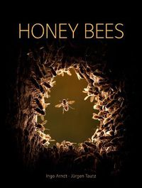 Cover image for Honey Bees