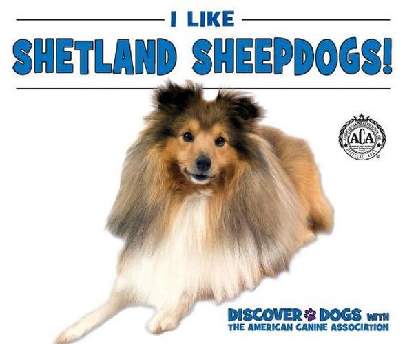 I Like Shetland Sheepdogs!