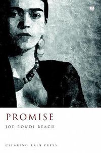 Cover image for Promise