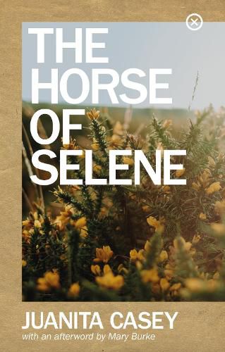 Cover image for The Horse of Selene