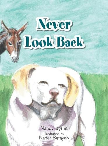 Cover image for Never Look Back