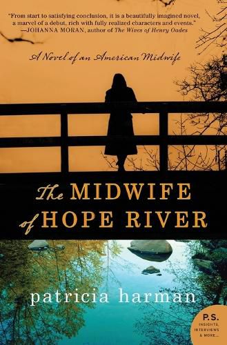 Cover image for The Midwife of Hope River