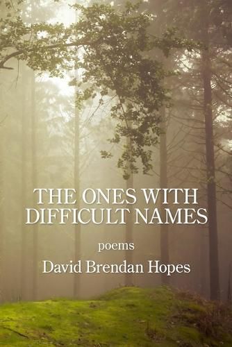 Cover image for The Ones with Difficult Names