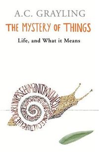 Cover image for The Mystery of Things