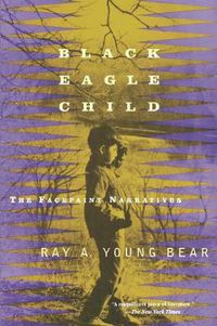 Cover image for Black Eagle Child: The Facepaint Narratives