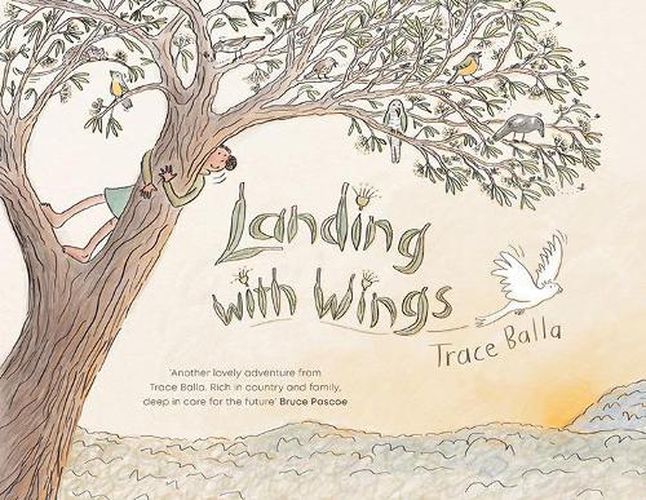Cover image for Landing with Wings