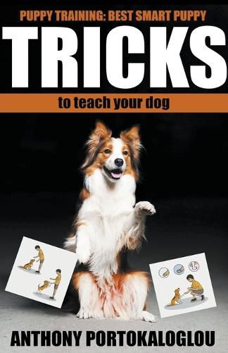 Dog Tricks: Best Smart Dog Tricks to Teach Your Dog in Record Time