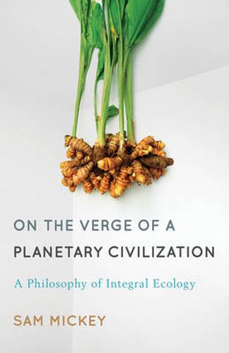 Cover image for On the Verge of a Planetary Civilization: A Philosophy of Integral Ecology