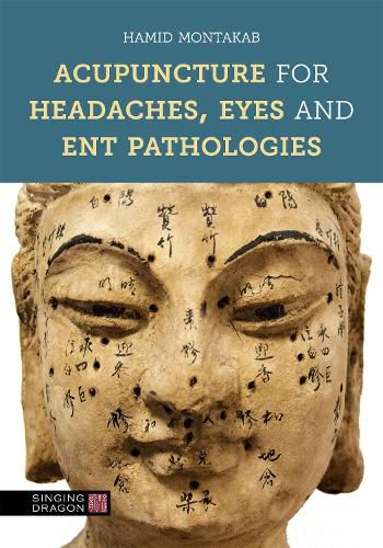 Cover image for Acupuncture for Headaches, Eyes and ENT Pathologies