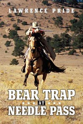 Cover image for Bear Trap at Needle Pass