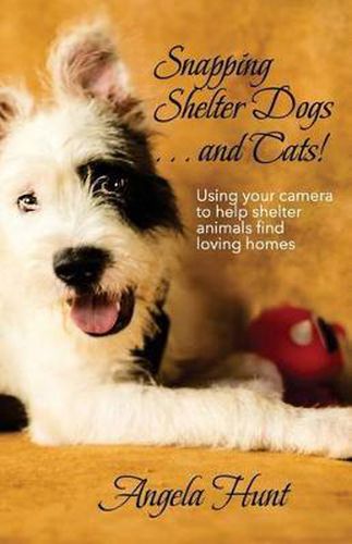 Cover image for Snapping Shelter Dogs . . . and Cats!: Using your camera to help shelter animals find loving homes