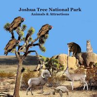 Cover image for Joshua Tree National Park Animals and Attractions Kids Book