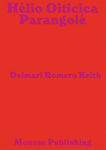 Cover image for Helio Oiticica: Parangole
