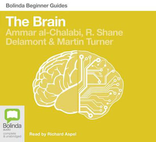 Cover image for The Brain