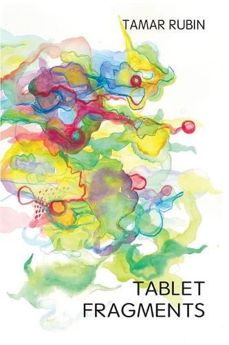 Cover image for Tablet Fragments