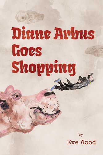 Cover image for Diane Arbus Goes Shopping
