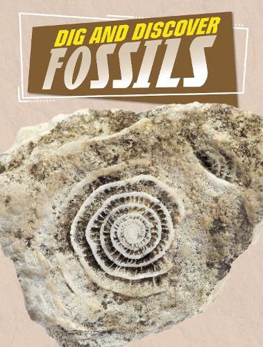 Cover image for Dig and Discover Fossils