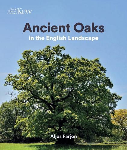 Ancient Oaks in the English landscape: In the English landscape