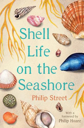 Cover image for Shell Life on the Seashore