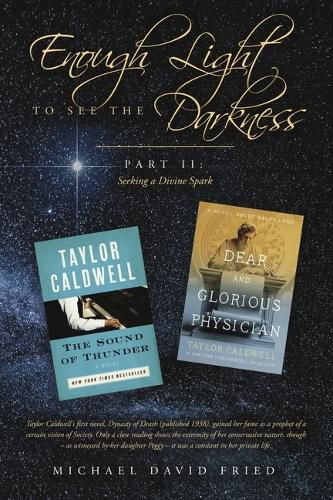 Cover image for Enough Light to see the Darkness: