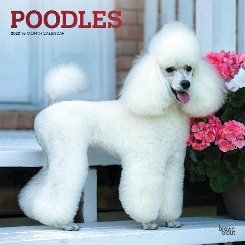Cover image for Poodles 2023 Square Foil