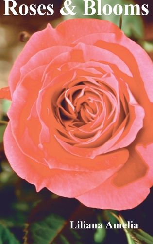 Cover image for Roses & Blooms