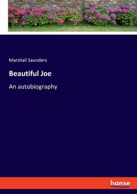 Cover image for Beautiful Joe