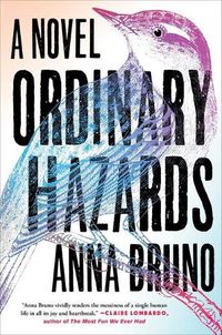 Cover image for Ordinary Hazards