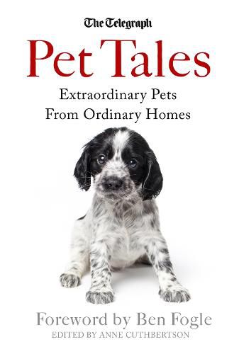 Cover image for Pet Tales: Extraordinary Pets From Ordinary Homes