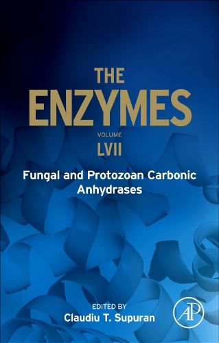 Cover image for Fungal and Protozoan Carbonic Anhydrases: Volume 57