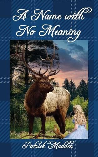 Cover image for A Name with No Meaning