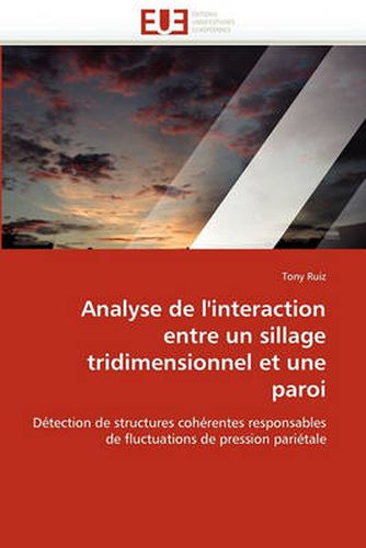 Cover image for Analyse de L'Interaction Entre Un Sillage Tridimensionnel Et Une Paroi