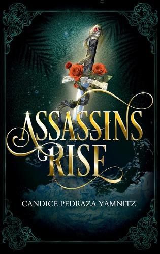 Cover image for Assassins Rise