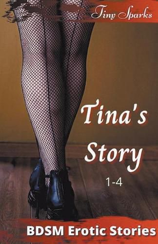 Cover image for Tina's Story 1-4