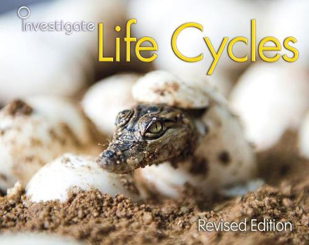 Life Cycles (Investigate!)