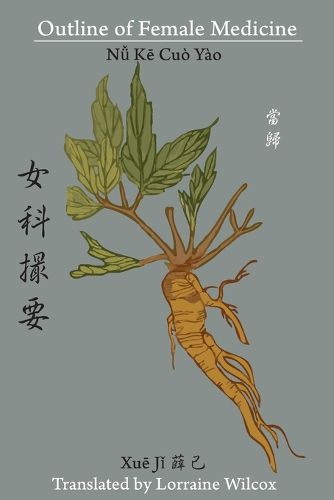 Cover image for Outline of Female Medicine